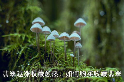 翡翠越漲收藏愈熱，如何購(gòu)買(mǎi)收藏翡翠