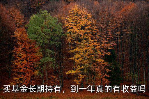 買基金長期持有，到一年真的有收益嗎