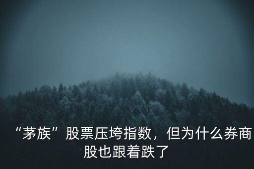 “茅族”股票壓垮指數(shù)，但為什么券商股也跟著跌了