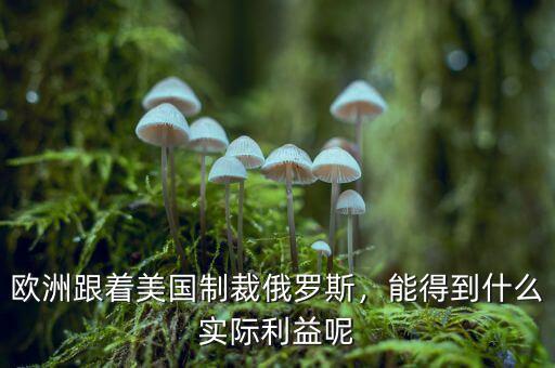歐洲跟著美國制裁俄羅斯，能得到什么實際利益呢