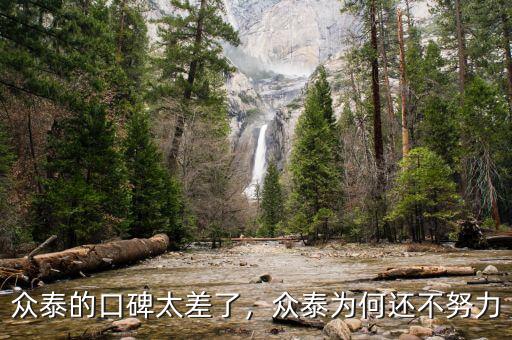眾泰的口碑太差了，眾泰為何還不努力