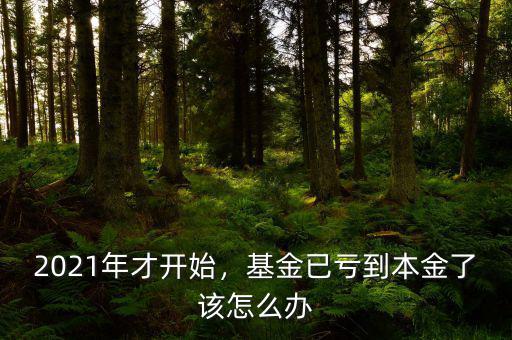 2021年才開始，基金已虧到本金了該怎么辦