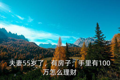 夫妻55歲了，有房子，手里有100萬怎么理財