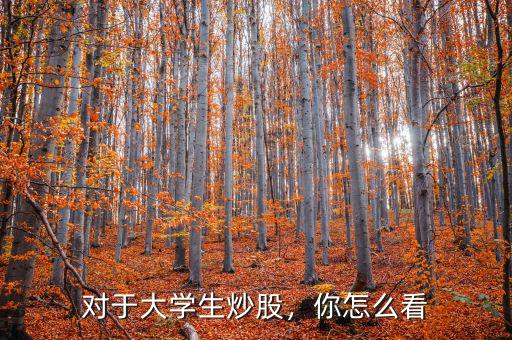 對于大學生炒股，你怎么看