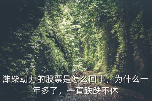 濰柴動(dòng)力的股票是怎么回事，為什么一年多了，一直跌跌不休