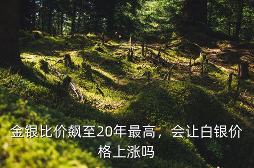 金銀比價(jià)飆至20年最高，會(huì)讓白銀價(jià)格上漲嗎
