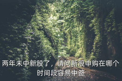 兩年未中新股了，請(qǐng)問新股申購在哪個(gè)時(shí)間段容易中簽