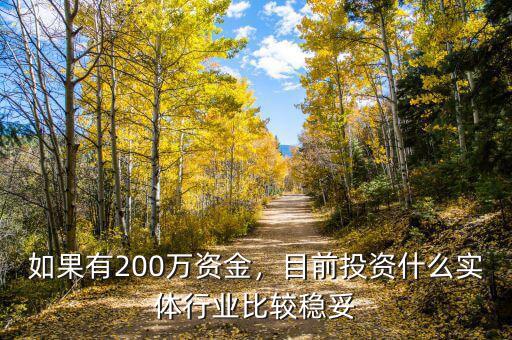如果有200萬(wàn)資金，目前投資什么實(shí)體行業(yè)比較穩(wěn)妥