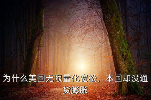 為什么美國無限量化寬松，本國卻沒通貨膨脹