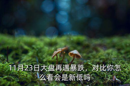 11月23日大盤再遇暴跌，對(duì)比你怎么看會(huì)是新低嗎