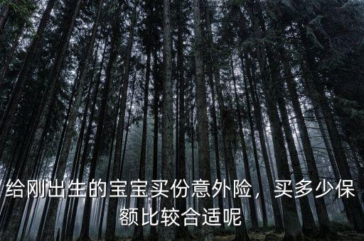 給剛出生的寶寶買份意外險，買多少保額比較合適呢