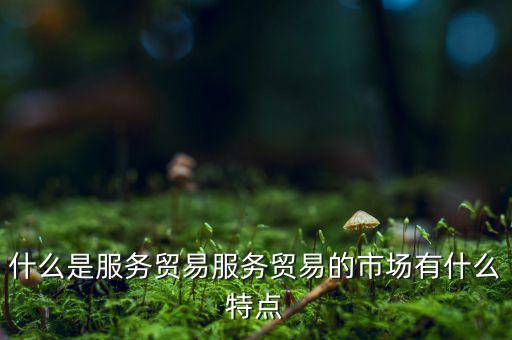 什么是服務(wù)貿(mào)易服務(wù)貿(mào)易的市場(chǎng)有什么特點(diǎn)