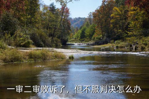 一審二審敗訴了，但不服判決怎么辦