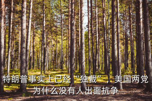 特朗普事實(shí)上已經(jīng)“獨(dú)裁”，美國(guó)兩黨為什么沒(méi)有人出面抗?fàn)? class=