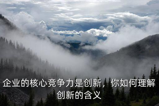 企業(yè)的核心競爭力是創(chuàng)新，你如何理解創(chuàng)新的含義