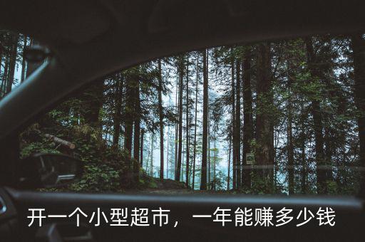開(kāi)一個(gè)小型超市，一年能賺多少錢(qián)