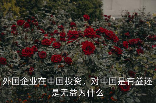外國(guó)企業(yè)在中國(guó)投資，對(duì)中國(guó)是有益還是無益為什么