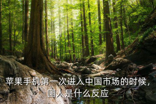 蘋果手機(jī)第一次進(jìn)入中國市場(chǎng)的時(shí)候，國人是什么反應(yīng)