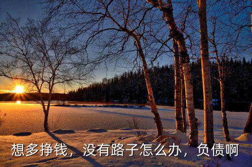 想多掙錢，沒有路子怎么辦，負(fù)債啊