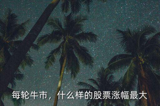 每輪牛市，什么樣的股票漲幅最大