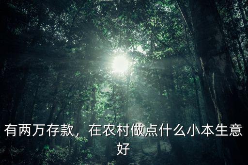 有兩萬存款，在農(nóng)村做點(diǎn)什么小本生意好