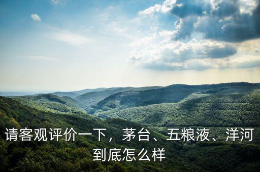 請客觀評價一下，茅臺、五糧液、洋河到底怎么樣
