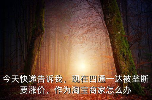今天快遞告訴我，現(xiàn)在四通一達被壟斷要漲價，作為淘寶商家怎么辦