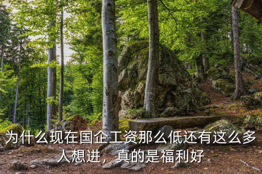 為什么現(xiàn)在國企工資那么低還有這么多人想進，真的是福利好