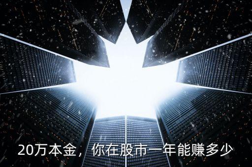 20萬本金，你在股市一年能賺多少