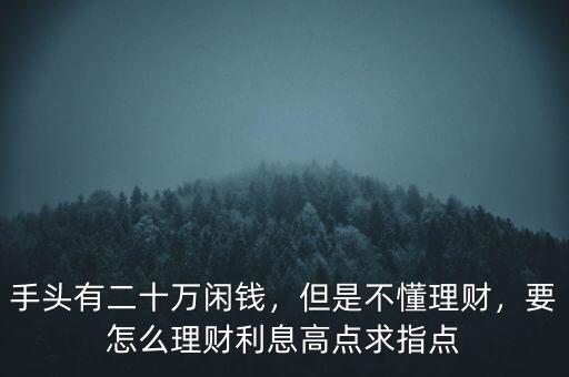 手頭有二十萬(wàn)閑錢(qián)，但是不懂理財(cái)，要怎么理財(cái)利息高點(diǎn)求指點(diǎn)