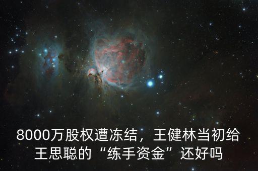8000萬股權(quán)遭凍結(jié)，王健林當初給王思聰?shù)摹熬毷仲Y金”還好嗎
