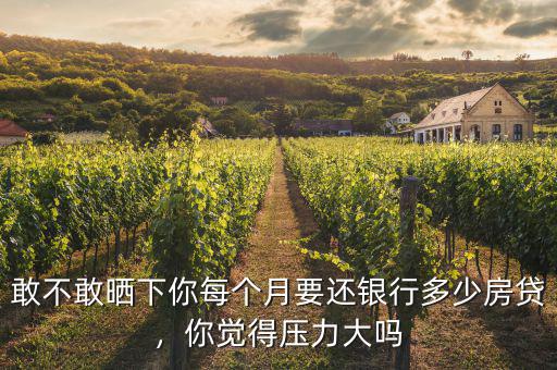 敢不敢曬下你每個月要還銀行多少房貸，你覺得壓力大嗎