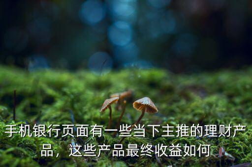 手機(jī)銀行頁(yè)面有一些當(dāng)下主推的理財(cái)產(chǎn)品，這些產(chǎn)品最終收益如何