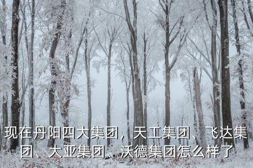 現(xiàn)在丹陽(yáng)四大集團(tuán)，天工集團(tuán)、飛達(dá)集團(tuán)、大亞集團(tuán)、沃德集團(tuán)怎么樣了