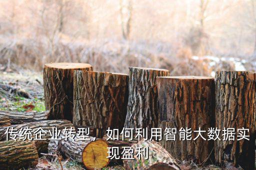 傳統(tǒng)企業(yè)轉型，如何利用智能大數(shù)據(jù)實現(xiàn)盈利