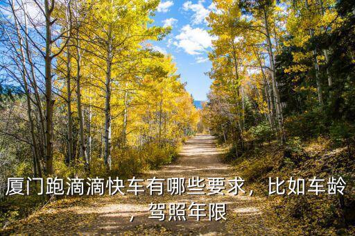 廈門跑滴滴快車有哪些要求，比如車齡，駕照年限