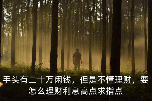 手頭有二十萬閑錢，但是不懂理財(cái)，要怎么理財(cái)利息高點(diǎn)求指點(diǎn)
