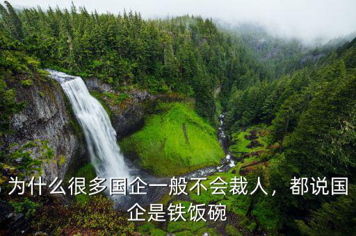 為什么很多國(guó)企一般不會(huì)裁人，都說國(guó)企是鐵飯碗