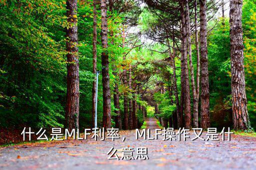 什么是MLF利率，MLF操作又是什么意思