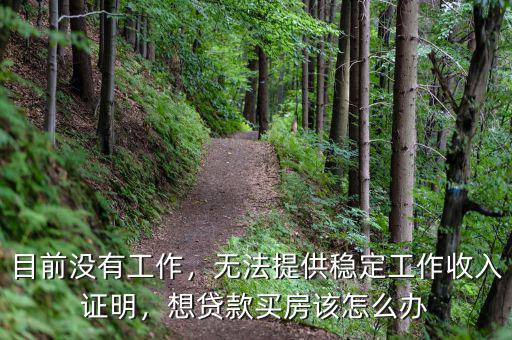 目前沒(méi)有工作，無(wú)法提供穩(wěn)定工作收入證明，想貸款買房該怎么辦