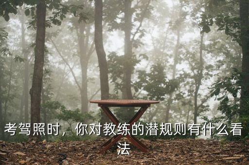 考駕照時，你對教練的潛規(guī)則有什么看法