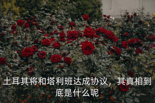土耳其將和塔利班達(dá)成協(xié)議，其真相到底是什么呢