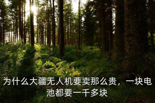 為什么大疆無人機(jī)要賣那么貴，一塊電池都要一千多塊