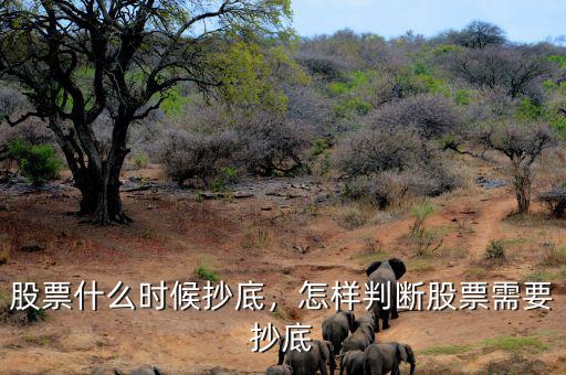 股票什么時候抄底，怎樣判斷股票需要抄底