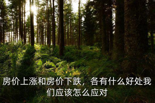 房?jī)r(jià)上漲和房?jī)r(jià)下跌，各有什么好處我們應(yīng)該怎么應(yīng)對(duì)