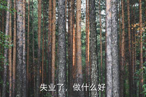失業(yè)了，做什么好
