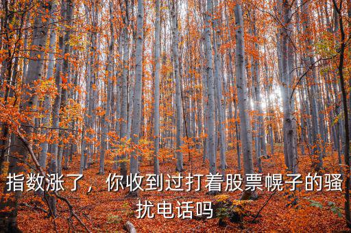 指數(shù)漲了，你收到過(guò)打著股票幌子的騷擾電話(huà)嗎