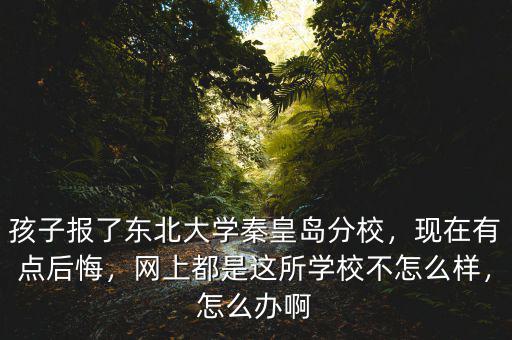 孩子報了東北大學秦皇島分校，現(xiàn)在有點后悔，網(wǎng)上都是這所學校不怎么樣，怎么辦啊