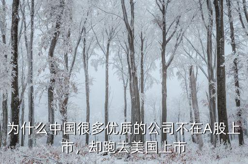 不盈利為什么能在美國上市,卻在美國上市。為什么