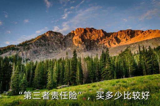 “第三者責(zé)任險(xiǎn)”，買多少比較好